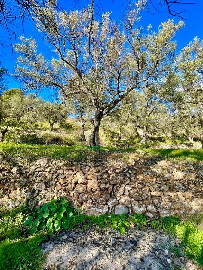 Saleres La Esperanza Granada Luxury Hacienda & Private Villa מראה חיצוני תמונה